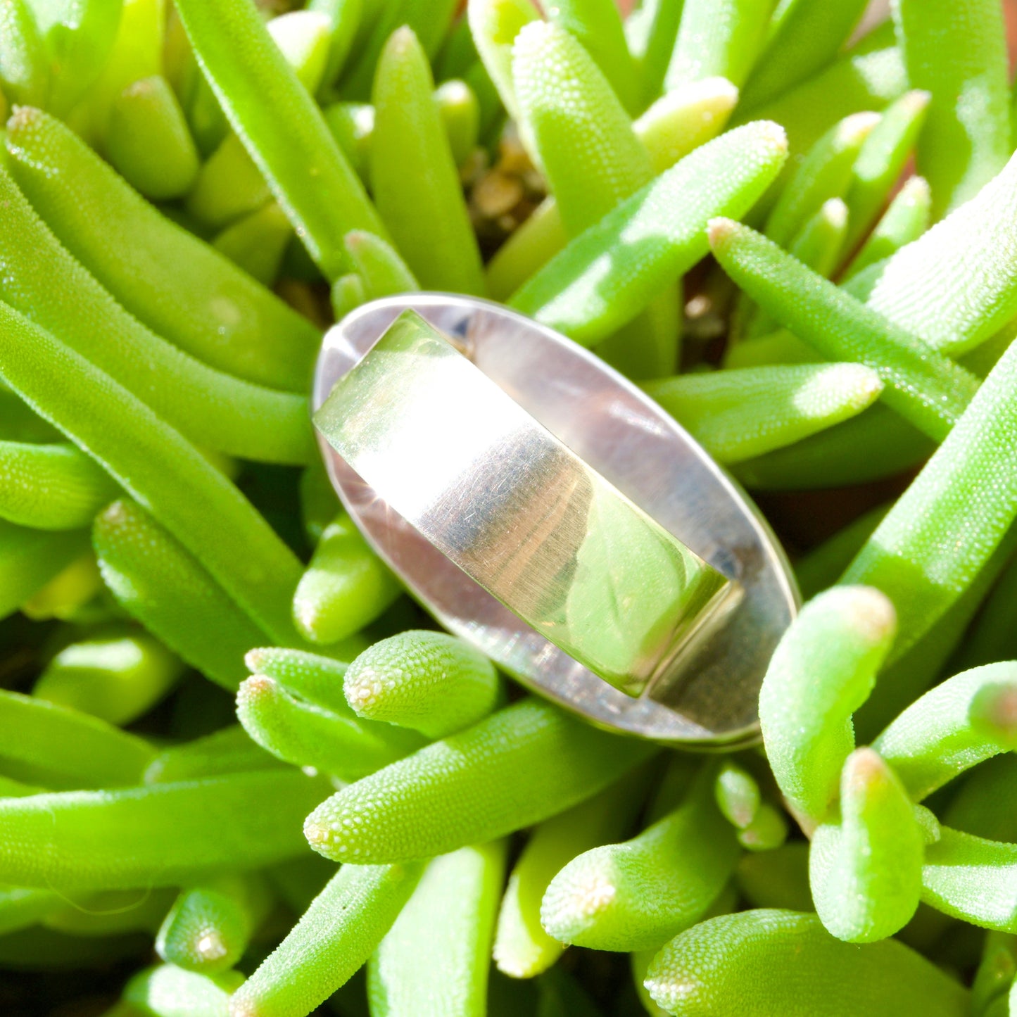 Cicada Chrysocolla Ring