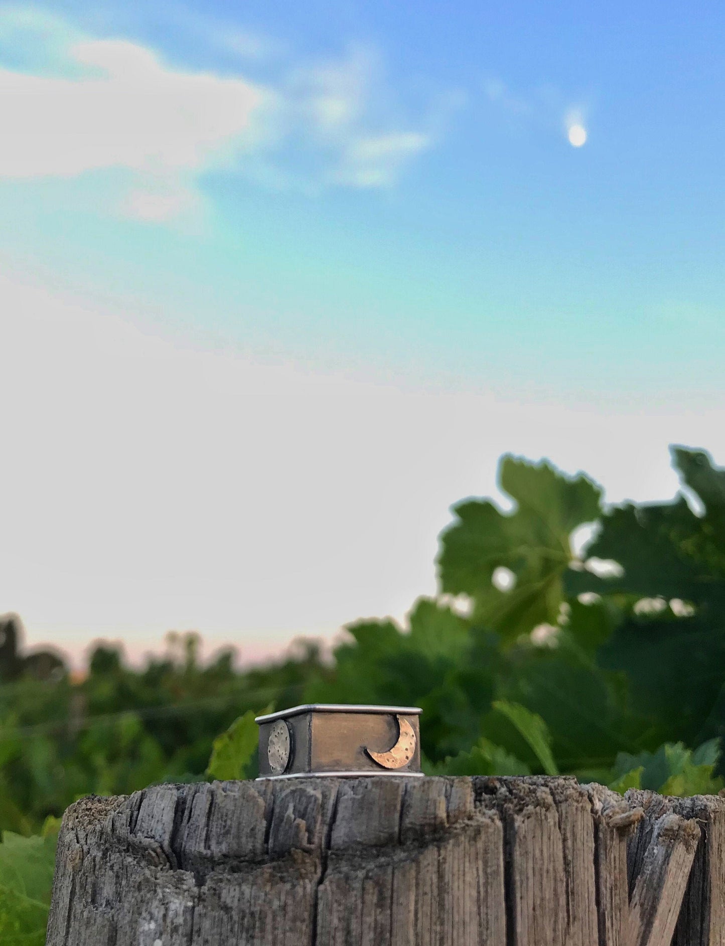 PHASES ring