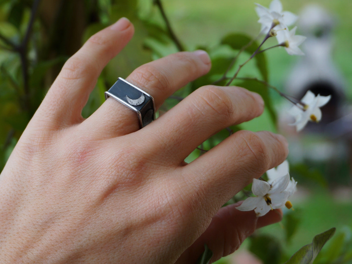 PHASES ring
